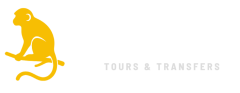 Kgabo Safaris